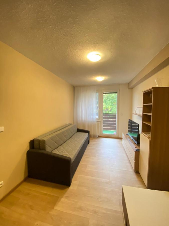 Apartman Na Kraji Lesa Všemina エクステリア 写真