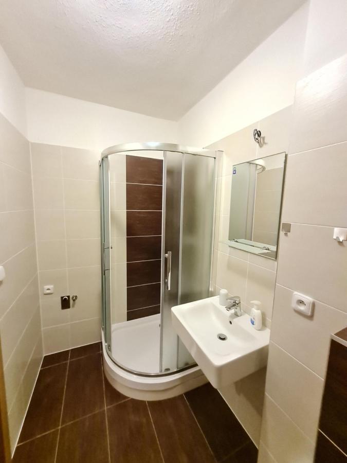 Apartman Na Kraji Lesa Všemina エクステリア 写真