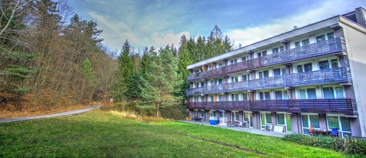 Apartman Na Kraji Lesa Všemina エクステリア 写真