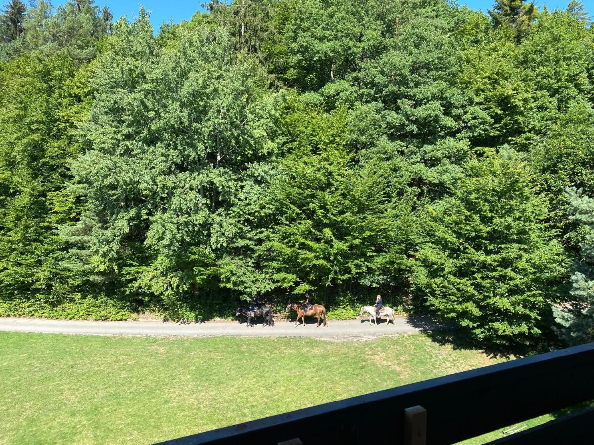 Apartman Na Kraji Lesa Všemina エクステリア 写真