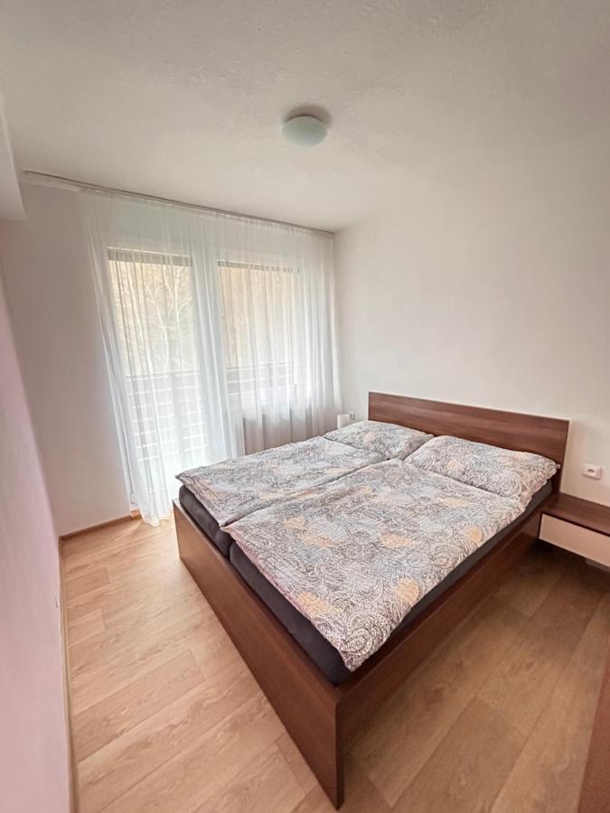 Apartman Na Kraji Lesa Všemina エクステリア 写真